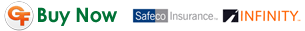 Buy Auto Insurance in Palm Coast Florida